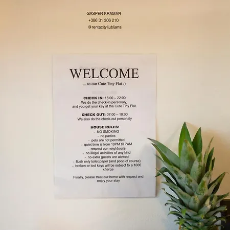 Cute Tiny Flat דירה לובליאנה